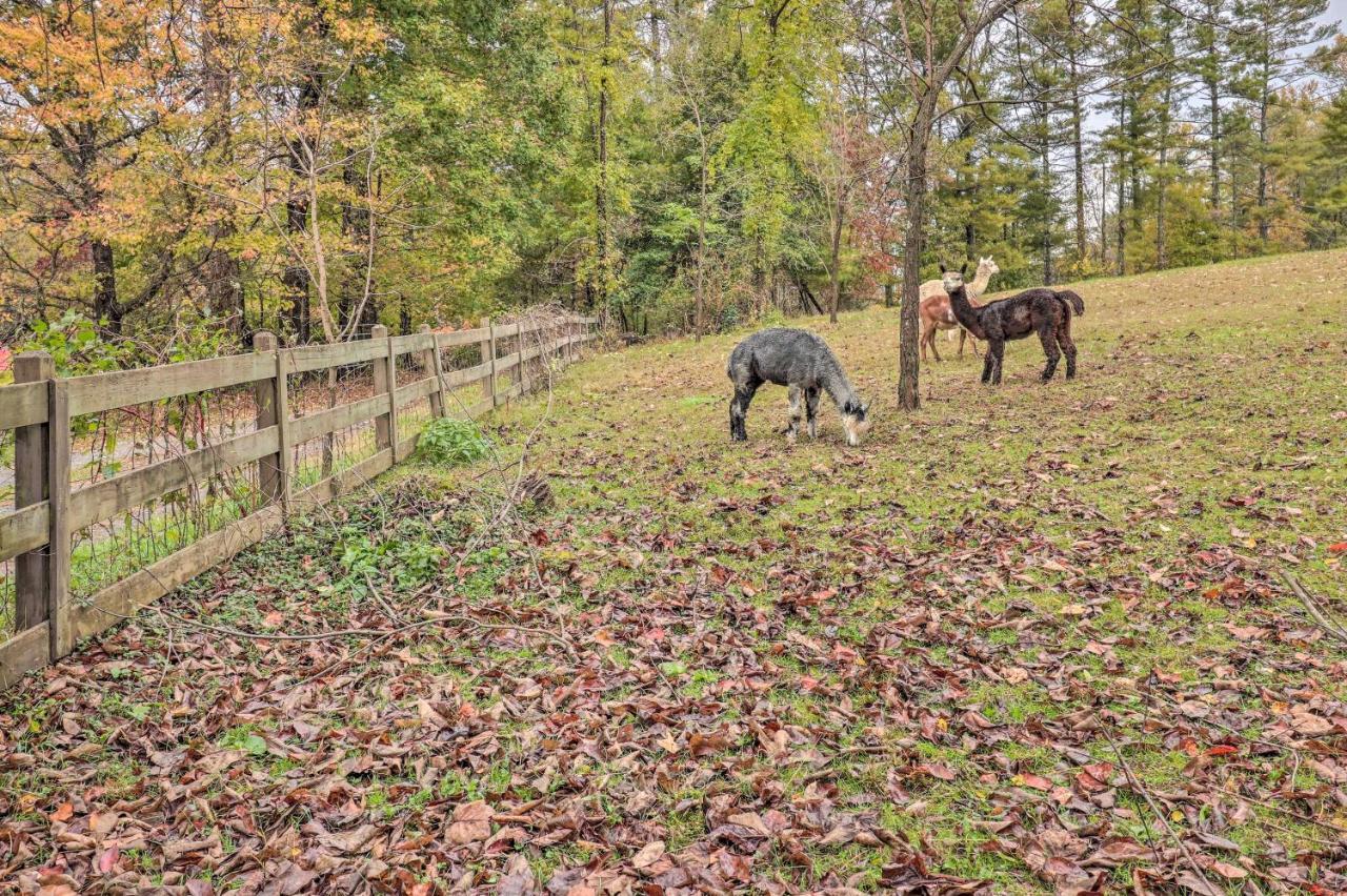 Rustic Hendersonville Farm Studio With Private Deck Luaran gambar