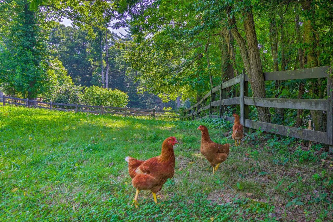 Rustic Hendersonville Farm Studio With Private Deck Luaran gambar