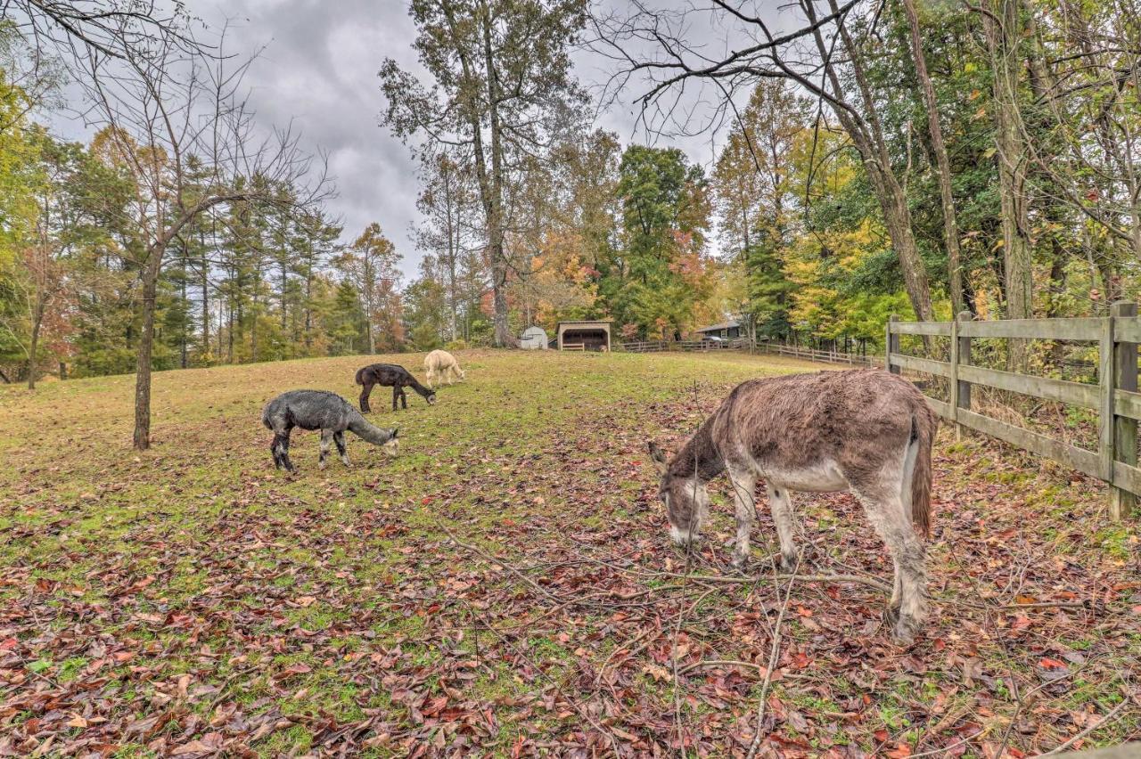 Rustic Hendersonville Farm Studio With Private Deck Luaran gambar