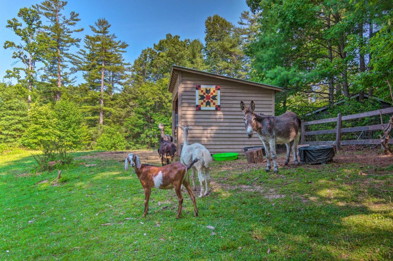 Rustic Hendersonville Farm Studio With Private Deck Luaran gambar